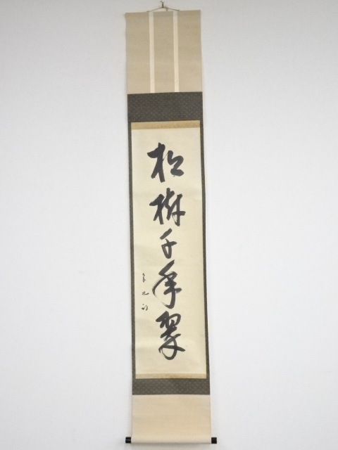 久田家十二代尋牛斎筆　「松樹千年翠」一行書　肉筆紙本掛軸（保護箱）